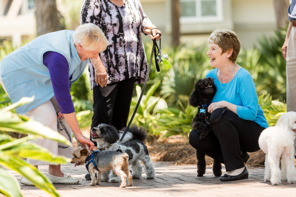 Three senior women meet together outside to let their dogs greet each other